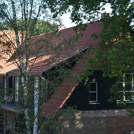 Ferien Hohes Elbufer Hotel Schnakenbek Екстериор снимка